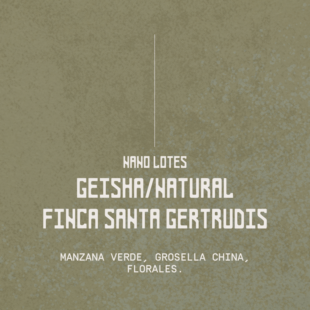 Hacienda "Santa Gertrudis" - Edición Nano Lotes de Competencia (200g)