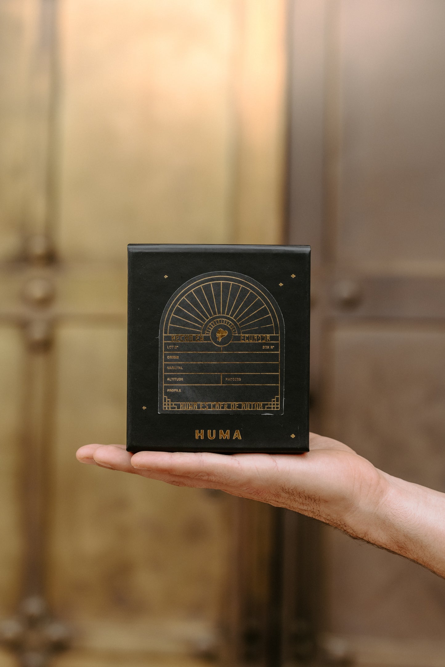 Nano Lots (Lugmapata, Typica Etiope, 89+ SCA) (Copy)