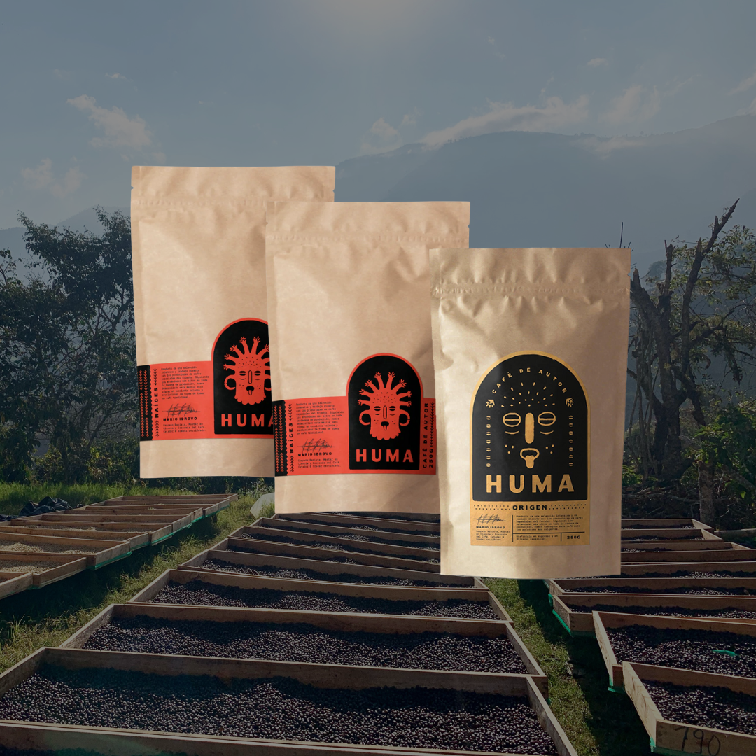 3 Bags of 250g – 70 Cups Subscription