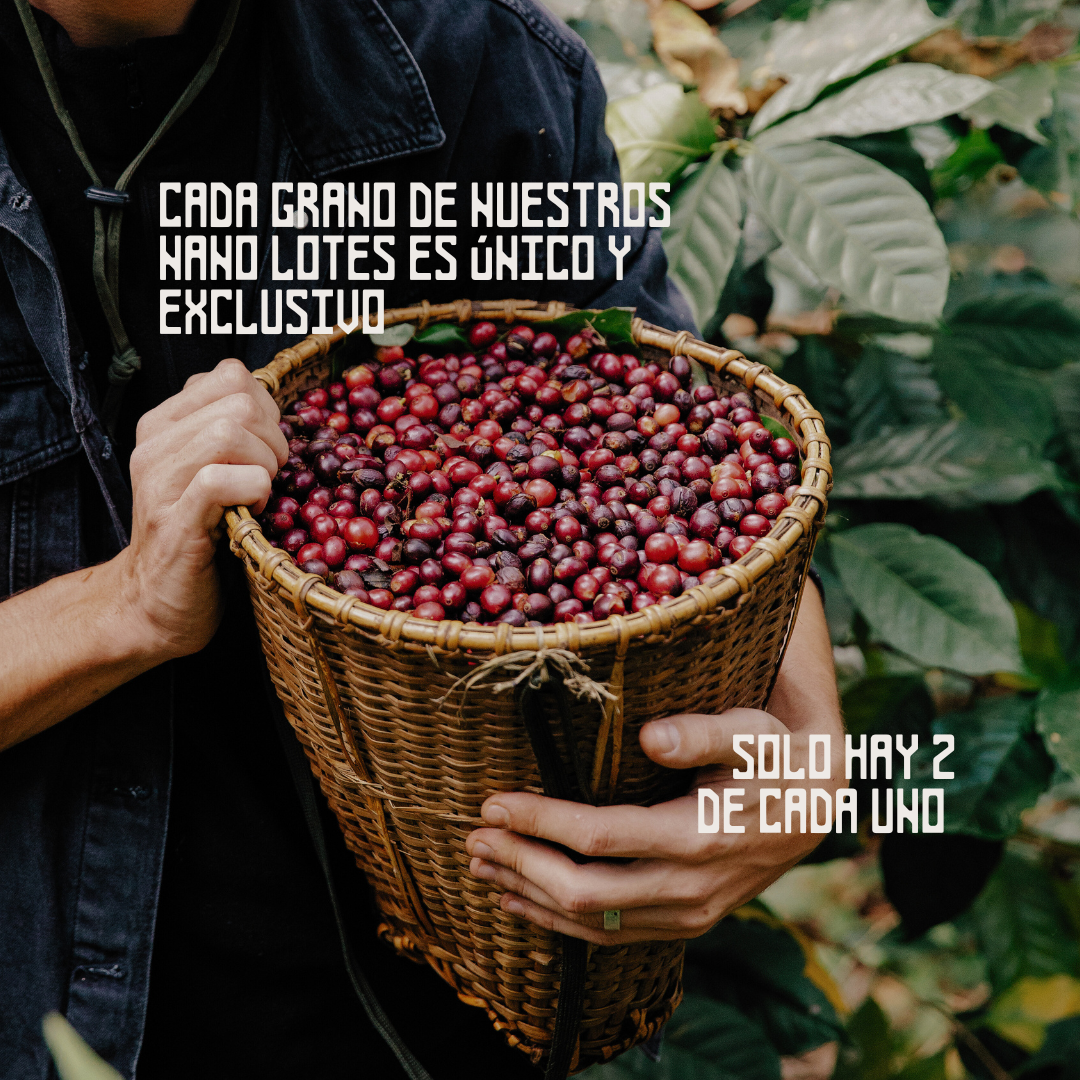 Hacienda "Santa Gertrudis" - Edición Nano Lotes de Competencia (200g)