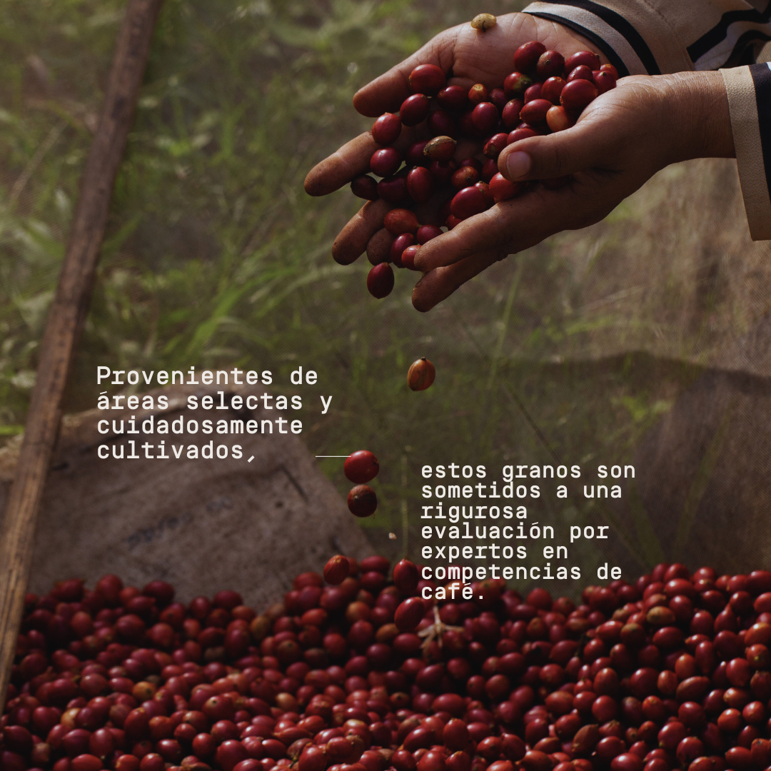 Hacienda "Santa Gertrudis" - Edición Nano Lotes de Competencia (200g)