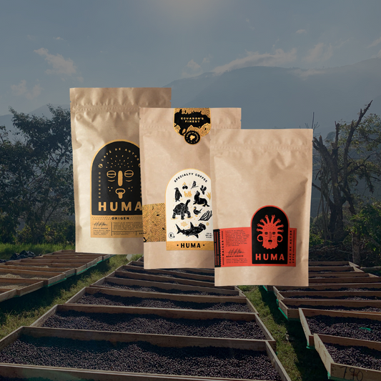 3 Bags of 250g – Subscription