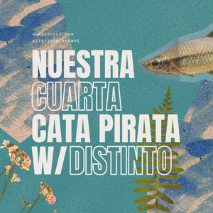 Cata Pirata w/ Distinto