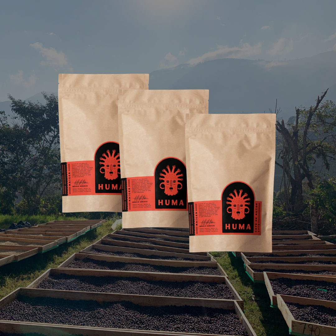 3 Bags of 250g – 70 Cups Subscription