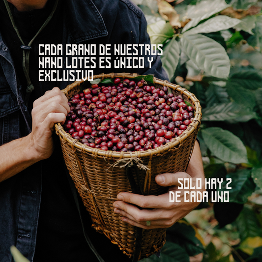 Copy of Copy of Finca "El Aguacate" - Nano Lots Competition Edition 