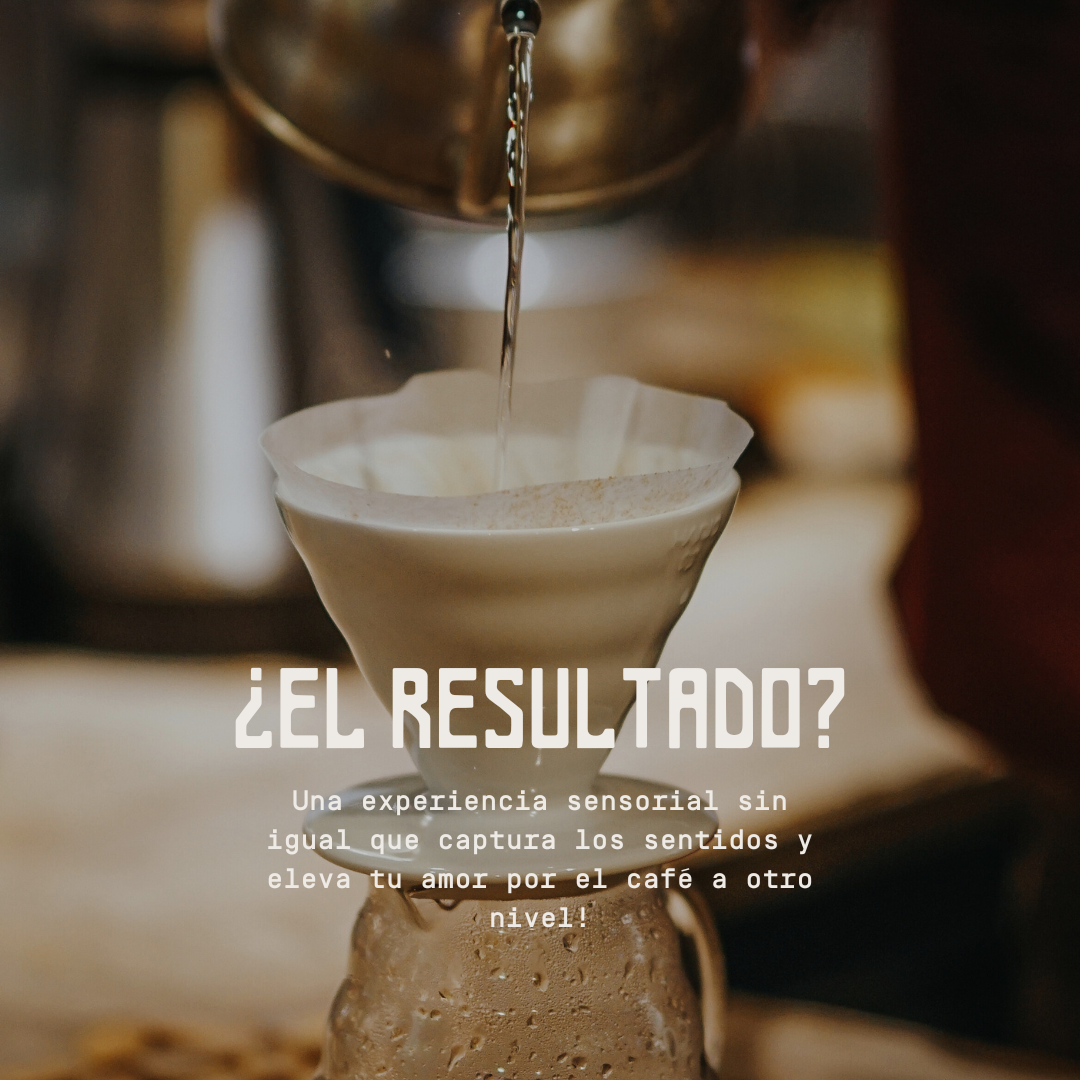 Finca "El Aguacate" - Edición Nano Lotes de Competencia